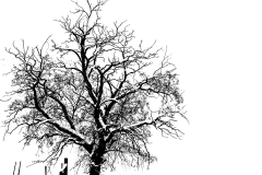 datnoff_photo_accessory_black-on-white5724-crop