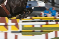 datnoff_photo_accessory_equestrian_14