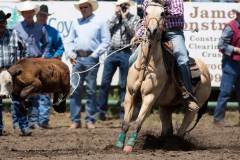 datnoff_photo_accessory_glenwood-roping825