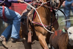 datnoff_photo_accessory_glenwood-roping867
