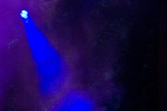 datnoff_photo_accessory_organ-w_-blue-light