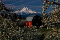 datnoff_photo_accessory_red-barn7818