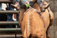 datnoff_photo_accessory_t9a1735