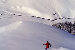datnoff_photo_accessory_untracked-powder
