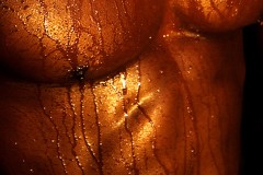 datnoff_photo_accessory_wet-muscles-crop2