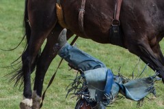 pendelton rodeo oregon