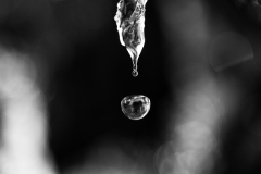 1_Melting6220
