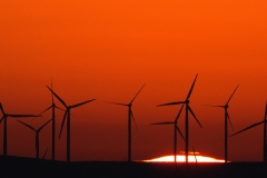 Cropped-The-Sunrise4809