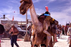 camel car at burning man festival