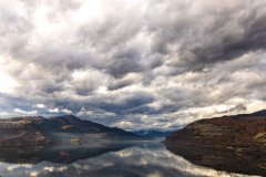 chicken charlies island