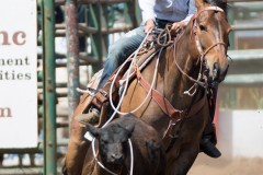 glenwood washington rodeo roping